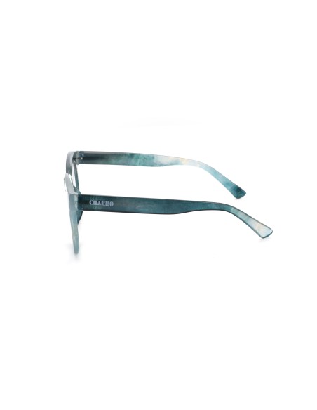 South Carolina - Kit of 24 Reading Glasses