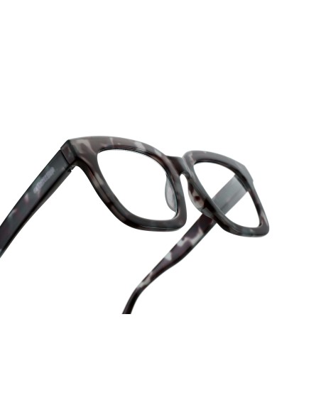 South Carolina - Kit of 24 Reading Glasses
