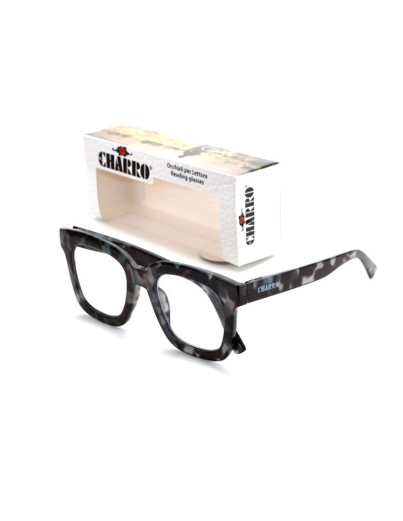 South Carolina - Kit of 24 Reading Glasses
