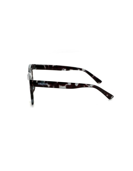 South Carolina - Kit of 24 Reading Glasses