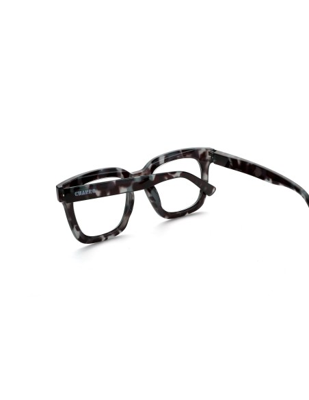 South Carolina - Kit of 24 Reading Glasses