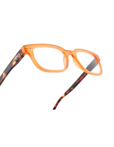 Royal - Kit da 24 Occhiali da Lettura