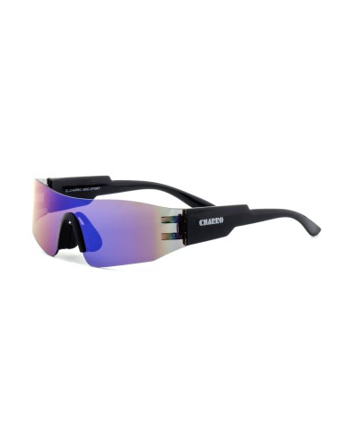 Sport - Kit of 8 Sunglasses