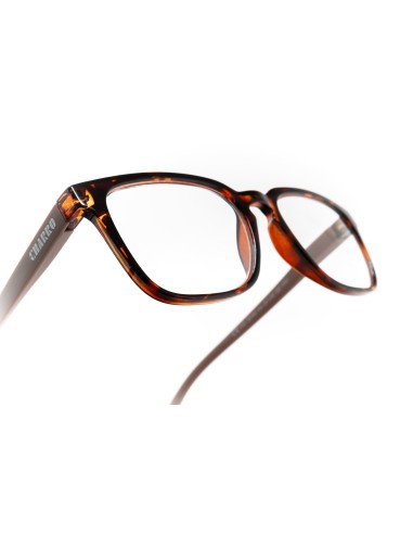 CHARRO® Maryland Reading Glasses for Simple Presbyopia