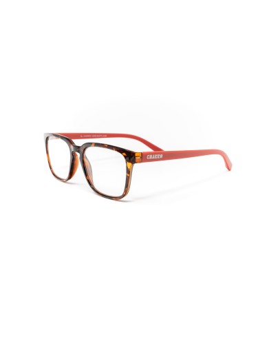 CHARRO® Maryland Reading Glasses for Simple Presbyopia