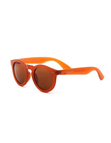 Longchamp - Kit of 8 Sunglasses