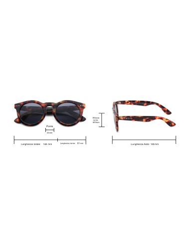Longchamp - Kit of 8 Sunglasses