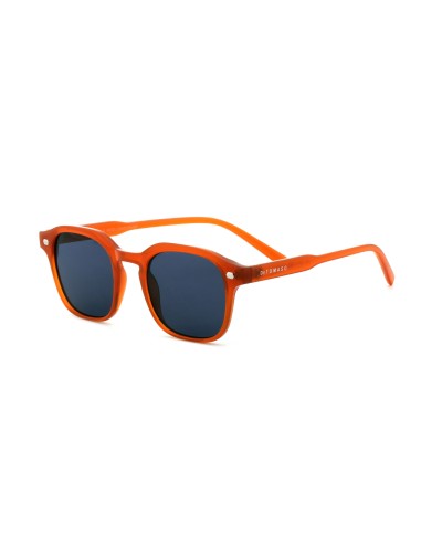 Longchamp - Kit of 8 Sunglasses