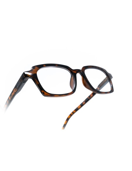 Sondrio - Reading Glasses
