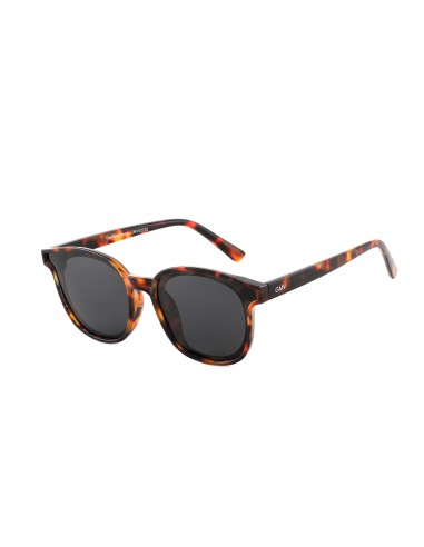 Brussels - Kit of 8 Polarized Sunglasses