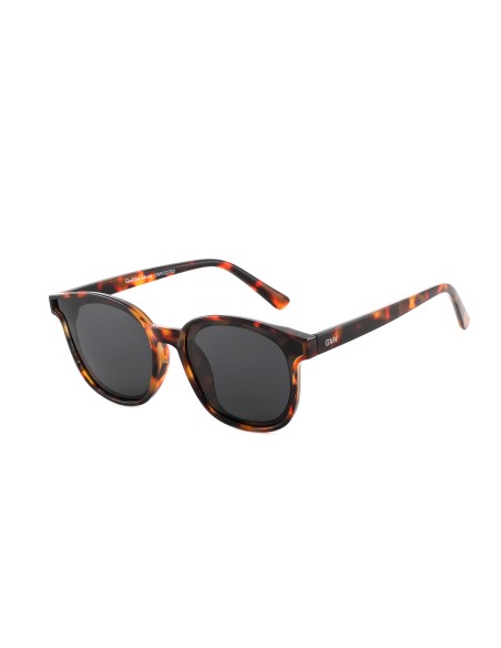 Brussels - Kit of 8 Polarized Sunglasses