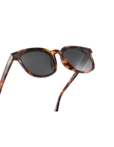 Brussels - Kit of 8 Polarized Sunglasses