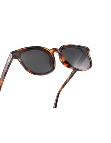 Brussels - Kit of 8 Polarized Sunglasses