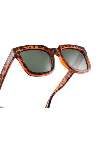 Brussels - Kit of 8 Polarized Sunglasses