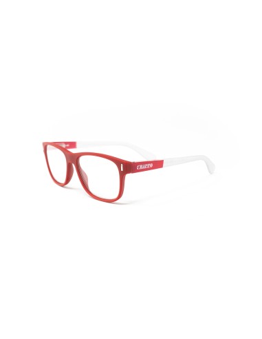 Alabama - Kit of 24 Reading Glasses