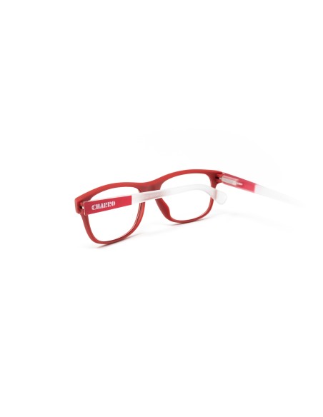 Alabama - Kit of 24 Reading Glasses