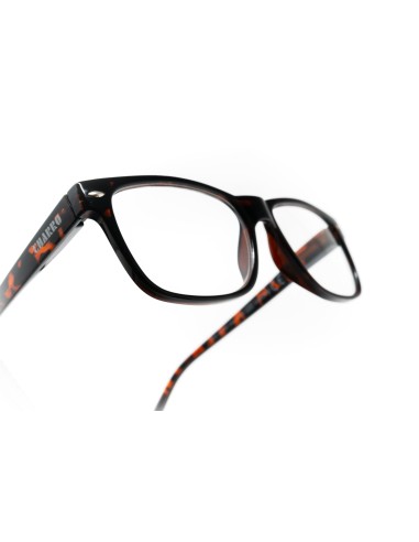 Minnesota - Reading Glasses Minnesota - Reading Glasses