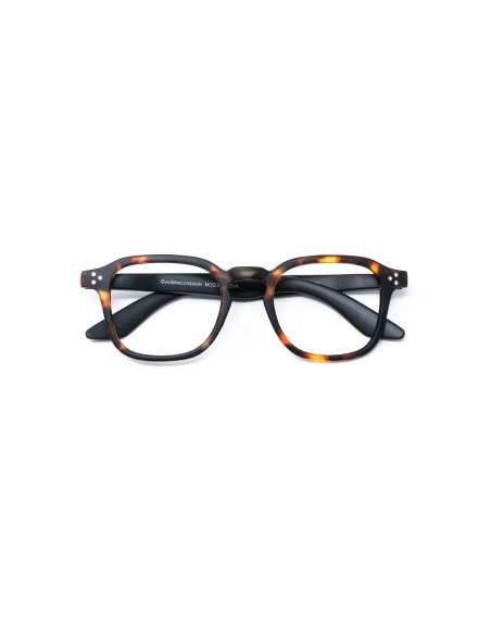 Modena - Reading Glasses