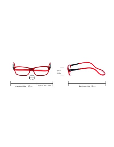CHARRO® Delaware Reading Glasses with Neck-Hanging Temples