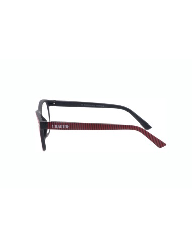 CHARRO® Reading Glasses for Close-Up Vision Michigan
