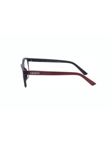 CHARRO® Reading Glasses for Close-Up Vision Michigan