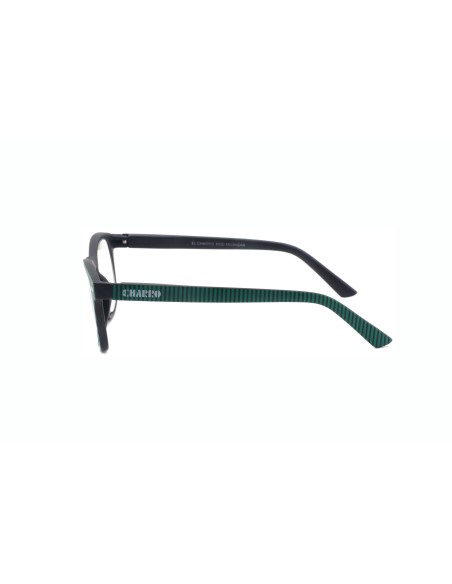 CHARRO® Reading Glasses for Close-Up Vision Michigan