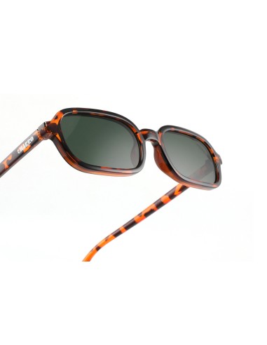 El Charro Sunglasses 370