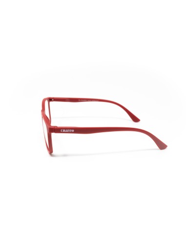 CHARRO® Anti-Blue Light Reading Glasses Vermont