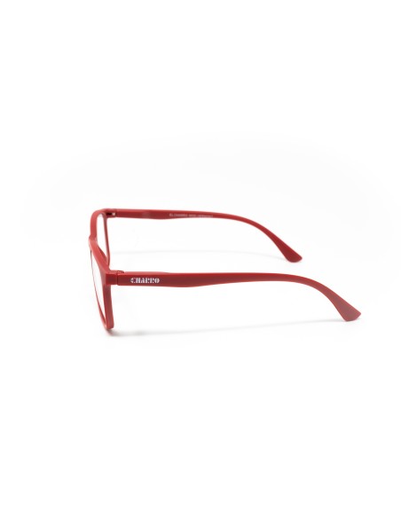 CHARRO® Anti-Blue Light Reading Glasses Vermont