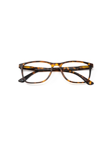 CHARRO® Anti-Blue Light Reading Glasses Vermont