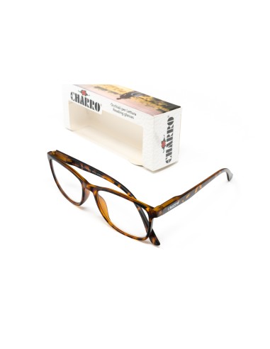 CHARRO® Anti-Blue Light Reading Glasses Vermont