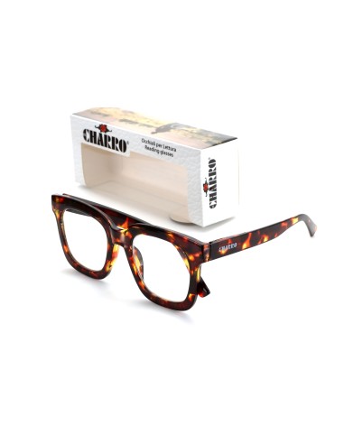 South Carolina - Reading glasses