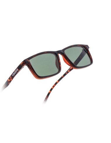 CHARRO® Reading Glasses with Magnetic Clip-On Sunglasses