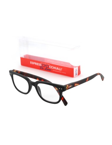 Royal - Reading Glasses
